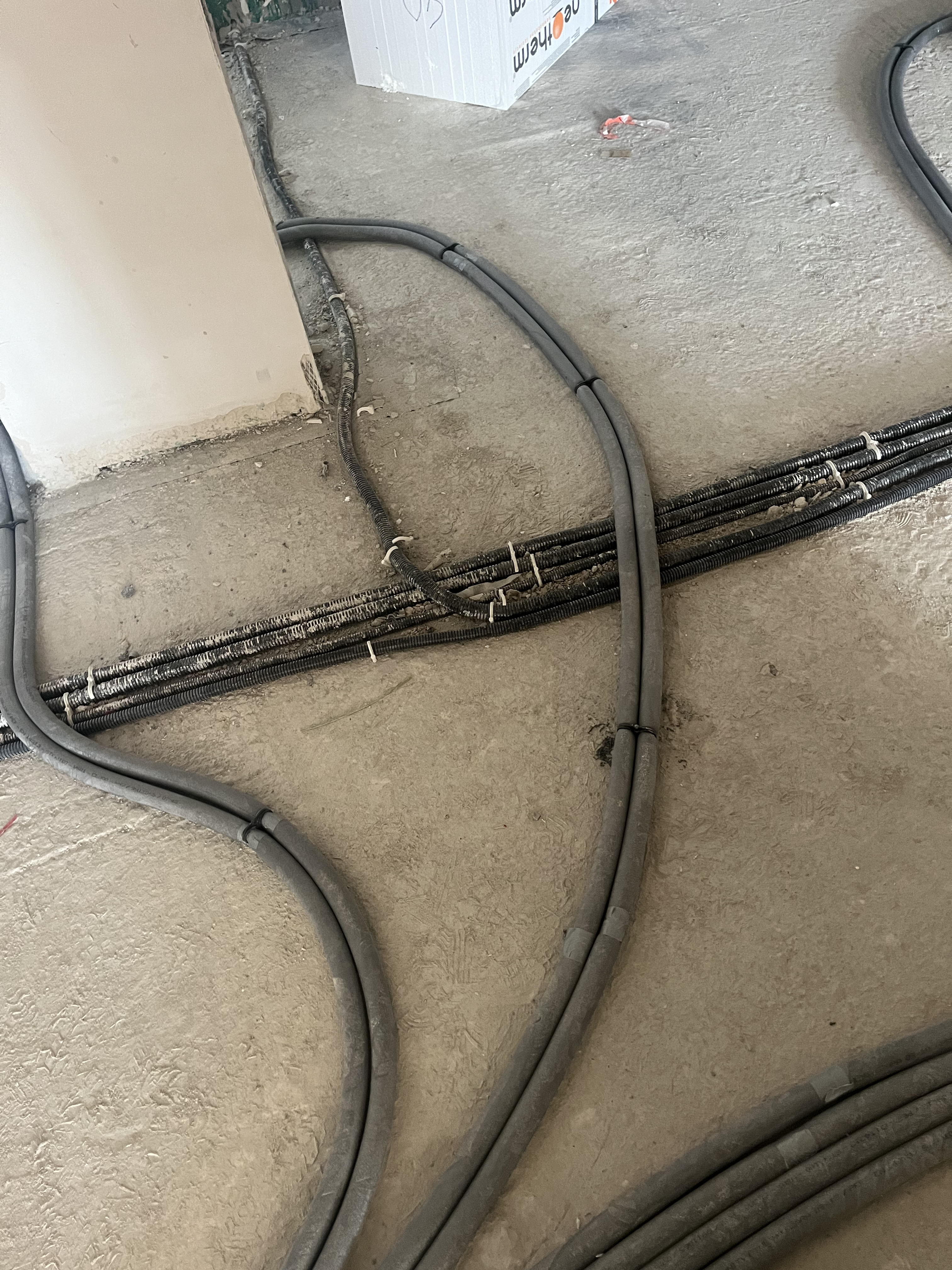 IMG_7372.jpg